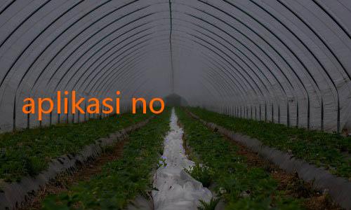 aplikasi nonton bola jalalive-Kisah Inspiratif Pemain Lokal Berbakat yang Sukses Mendapatkan Kontrak Profesional di Eropa