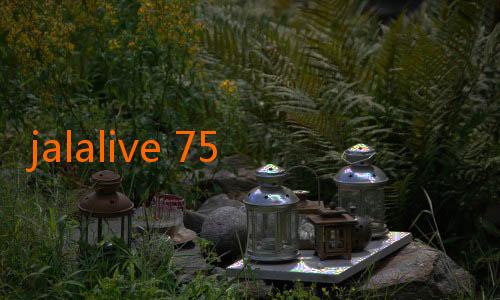 jalalive 75-Prediksi Formasi Ideal Timnas Indonesia untuk Kualifikasi Piala Dunia