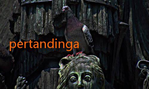 pertandingan jalalive-Profil Gelandang Kreatif Persija yang Jadi Kunci Permainan Tim