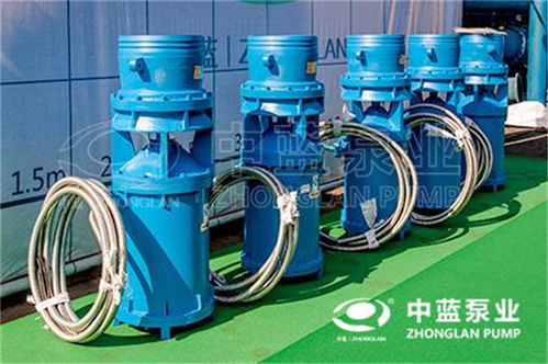 軸流泵 潛水軸流泵 中吸式軸流泵限時(shí)折扣 qsz軸流泵 qsh軸流泵廠家