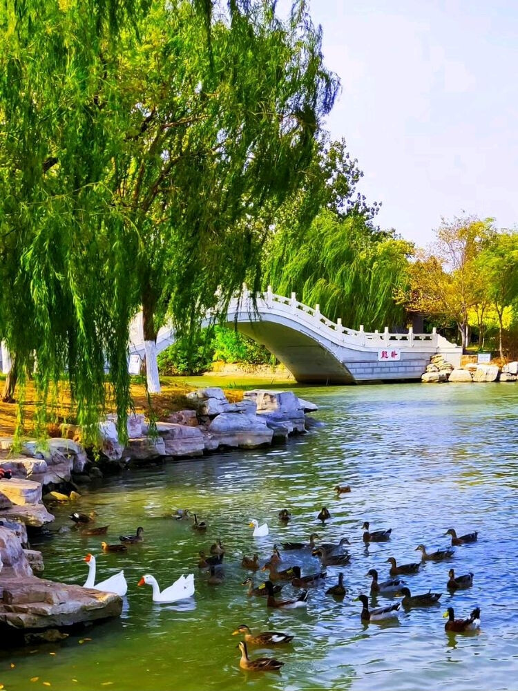 天津水上公園