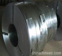 【天津鍍鋅帶鋼廠家】公司_產(chǎn)品_報價_介紹_圖片_下載.